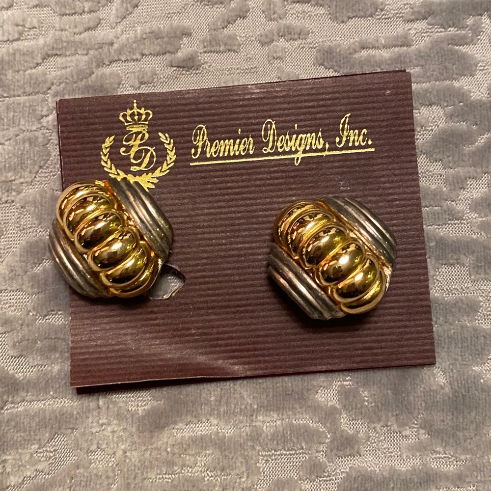 Premier Designs earrings